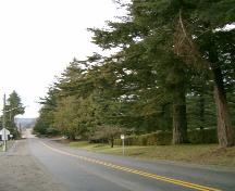 View of Avenue of Trees, 2004.; Ciity of Surrey 2004