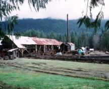 View of McLean Mill National Historic Site of Canada, showing the location of the site within a forested area close to Port Alberni, 1996.; Parks Canada Agency / Agence Parcs Canada, 1996.