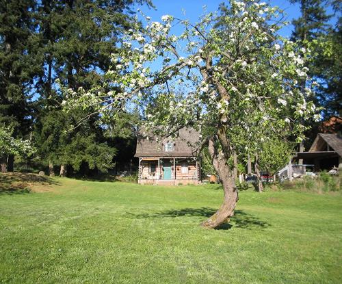Caleb Pike Heritage Park showing apple tree