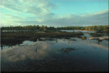 Rocky Swamp, Beausoleil Island; Parks Canada / Parcs Canada