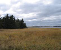 Image de la réserve naturelle de Point Daly prise du « Sentier de marais salants » qui coule le long de la bassin Bathurst. La réserve est l'habitat du Satyre fauve des maritimes.; City of Bathurst