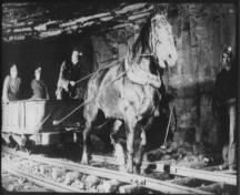Work horse pulling an orecart holding only miners.  Horses were used to haul empty orecarts back to shovellers waiting to fill them.  Men often rode in the empty carts.  Date unknown.  ; No. 2 Mine and Museum, 2006