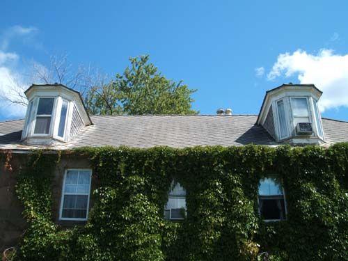 West Side Dormers