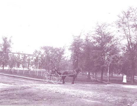 Historic photo of Elm Park