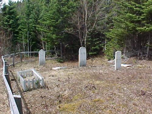 Old Methodist Cemetery, Leading Tickles, 2007