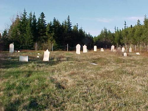 Old Anglican Cemetery, Leading Tickles, 2007