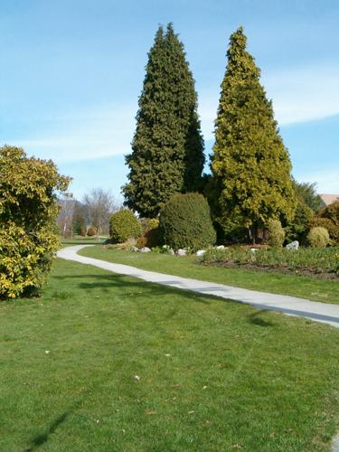 View of landscaping