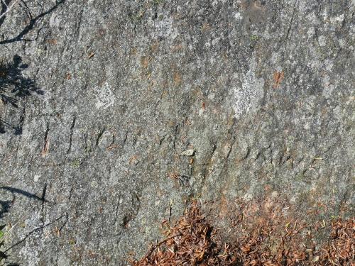 Bulger, inscription