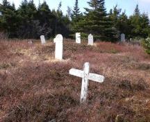 Photo of Salvation Army Cemetery, Arnold's Cove, NL, showing gravemarkers, 2008; Courtesy of Iris Brett, 2008