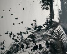 Harvey and waterfowl; Charlie and Dot Moore Collection