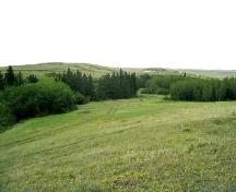 Looking east at the site area located in front of, and to the right of evergreen trees, 2004.; Government of Saskatchewan, Marvin Thomas, 2004.
