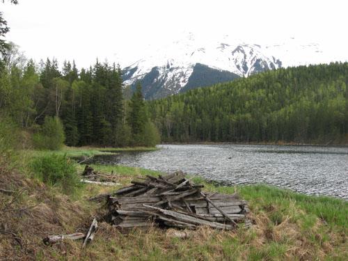 Remains of cabin at Echo Lake