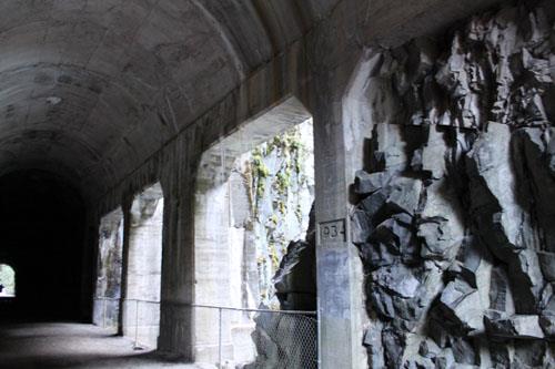 concrete pillars and vaulted ceiling in tunnel