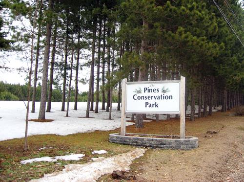 Pines Conservation Park