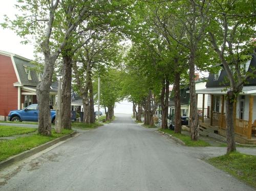 Cable Avenue, Bay Roberts, NL
