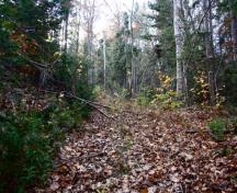 View of Section of the Old Portage Trail ; Town of Gand Bay-Westfield