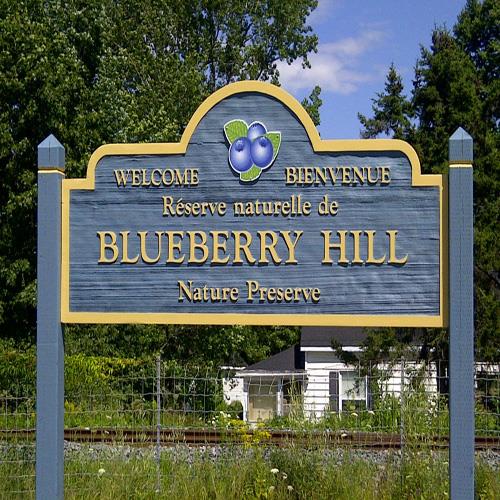 Entrance to Blueberry Hill
