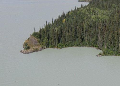Aerial view of Graveyard Point on Bowser Lake.