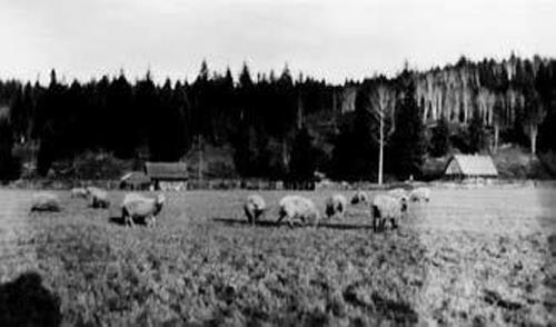Nam Sing Ranch, no date, Quesnel and District Museum and Archives photo.